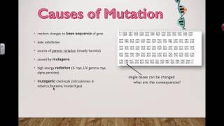 Causes of mutation 2016 IB Biology [upl. by Adigirb]