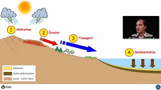 Le cycle des roches sédimentaires par Yann Hautevelle [upl. by Mackay]