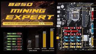 19 GPUs 500 MHs  Asus B250 Mining Expert Motherboard Overview [upl. by Madox]