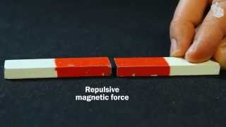 Video Lab Magnetic forces [upl. by Dahsra257]