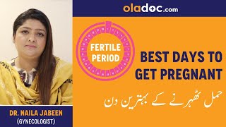 Best Days To Get Pregnant Urdu Hindi  Hamal Therne Ka Sahi Waqt  Fertility Days  Ovulation Period [upl. by Lazaro55]