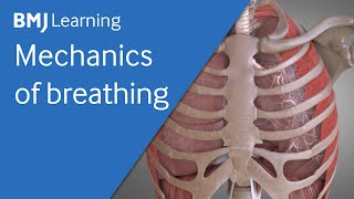 Basics of ventilation Mechanics of breathing  BMJ Learning [upl. by Yul]