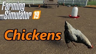 Farming Simulator 19 Tutorial  Chickens [upl. by Ramirolg]