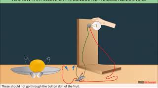 Electricity and Circuits  Class 6 [upl. by Eniamrahc]