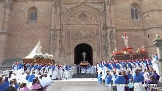 Semana Santa Salamanca 2017  Procesión del Encuentro [upl. by Helen68]