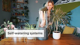 4 DIY SelfWatering Systems  Water Plants While Away [upl. by Jenette]