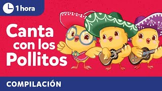 Sing with Los Pollitos  Bilingual Kids Songs in Spanish amp English  Cultural Traditions [upl. by Crain]