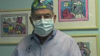 Scrotal Castration  Prep for Surgery [upl. by Joy]