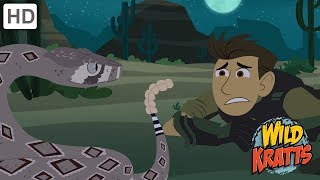 Wild Kratts  The Wildlife Adventure  Kids Videos [upl. by Newmann]