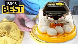 ✅ TOP 5 Best Egg Incubator you must own [upl. by Boar101]