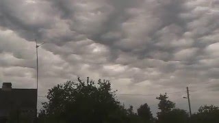 Undulatus Asperatus [upl. by Filmer]