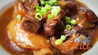 Instant Pot Beef Brisket Stew with Daikon [upl. by Arten]