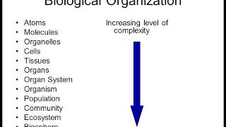 Biology 1010 Lecture 1 Intro to Biology [upl. by Juster]