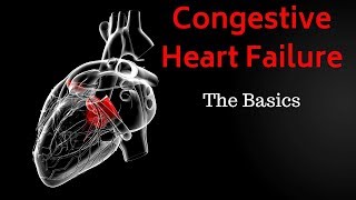 Congestive Heart Failure CHF  Basics Overview [upl. by Esej]