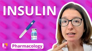 Insulin  Pharmacology  Endocrine System  LevelUpRN [upl. by Noicnecsa]