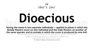 Pronunciation of Dioecious  Definition of Dioecious [upl. by Schild]