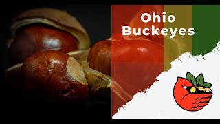 Ohio Buckeyes [upl. by Kella619]