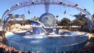 Blue Horizons  The Dolphins Show at Sea World Complete [upl. by Hilten]