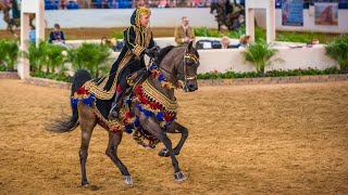 Scottsdale Arabian Horse Show  Native Costume Championship at Westworld [upl. by Nyhagen]