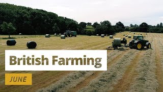 British Farming  12 Months On A UK Farm June [upl. by Vogeley68]