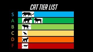 The Cat Tier List [upl. by Freddy309]