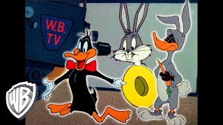 Looney Tunes en Latino  ¡Sé Una Estrella  WB Kids [upl. by Etrem232]