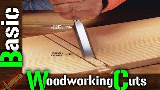 Joinery All Basic Woodworking Cuts You Need To Know [upl. by Nylime220]