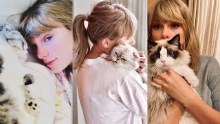 The Best of Taylor Swift and Her Cats [upl. by Aznecniv479]