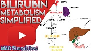 Bilirubin Metabolism Simplified [upl. by Aikem]