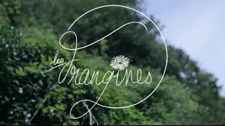 Demain Dès lAube  Les Frangines Clip Officiel [upl. by Kozloski]