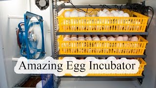 Egg Incubator Review and Operation [upl. by Airahs135]