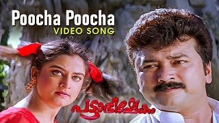 Poocha Poocha Video Song  Pattabhishekam  Jayaram  Mohini  BernyIgnatius  M G Sreekumar [upl. by Yenor793]