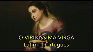 O Viridissima Virga  Santa Hildegarda de Bingen  LEGENDADO PTBR [upl. by Lerej]