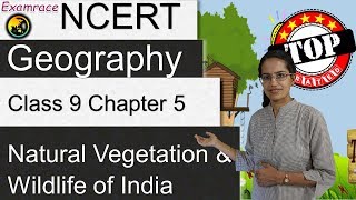 NCERT Class 9 Geography Chapter 5 Natural Vegetation amp Wildlife of India  English  CBSE [upl. by Vanthe]