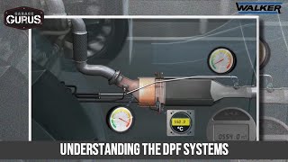 Understanding the DPF Systems [upl. by Arbmahs]