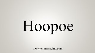 How To Say Hoopoe [upl. by Aiciled]