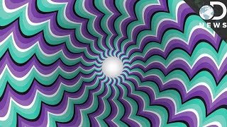 How Optical Illusions Trick Your Brain [upl. by Mirella]