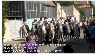 Bandido Après Longue Barbentane 31082015 [upl. by Emmerich402]