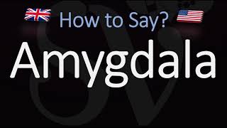 How to Pronounce Amygdala CORRECTLY Meaning amp Pronunciation [upl. by Sualakcin]