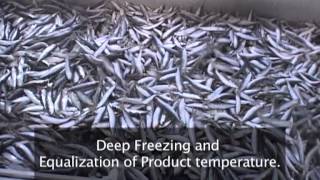 Frigoscandia FLoFREEZE® IQF Freezing Sardines [upl. by Steffi]