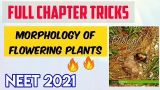 Plant Morphology Full Chapter Tricks  Neet Possible Tricks Series  Target Neet [upl. by Pietra]