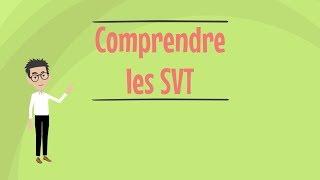 Comprendre la SVT [upl. by Shepp]