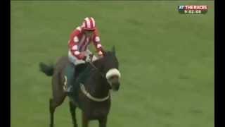 Fakenham fiasco Jockey takes wrong course [upl. by Fredrick]