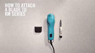 WAHL How to Attach Wahl Blades to Wahl KM Series Clippers [upl. by Tarrance]