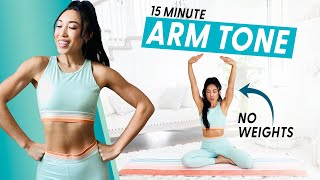 15 Minute Arm Burnout weightless upper body workout [upl. by Anialed]