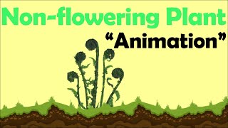 NON FLOWERING PLANTS  Animation [upl. by Beatrix]