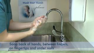 The 5 Rights of Hand Hygiene  Proper Hand Wash Technique [upl. by Ardnuhs]