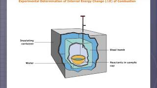 Bomb Calorimeter [upl. by Ynnor586]