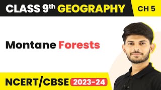 Montane Forests  Natural Vegetation amp Wildlife Chapter 5  Class 9 SST Geography [upl. by Merline]