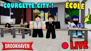 Live Roblox Brook Haven  L ÉCOLE RP À Courgette City  En Vocal 😁 BROOKHAVEN RP STORY [upl. by Amity]